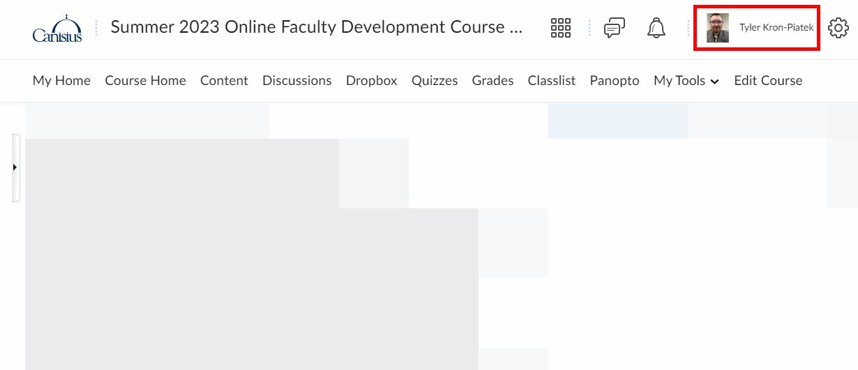 Highlight location of Profile Icon in D2L.